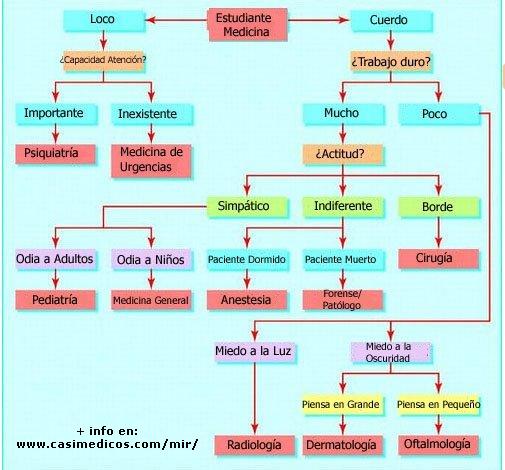 ¿Cómo elegir especialidad después del examen MIR?