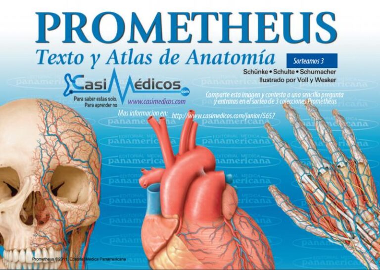 Ganadores 3 colecciones Prometheus