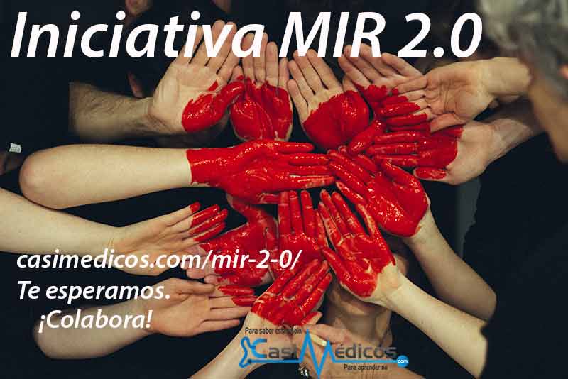 proyecto MIR 2.0