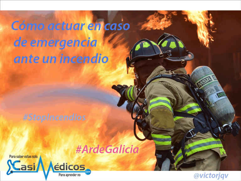 Cómo actuar en caso de emergencia ante un incendio forestal