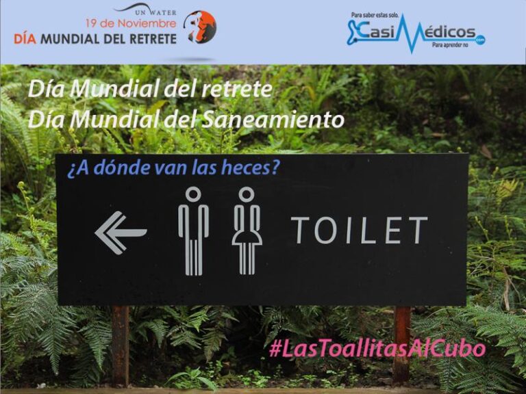 Día Mundial del retrete