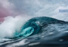 Las oleadas incesantes Olas - Foto de Emiliano Arano