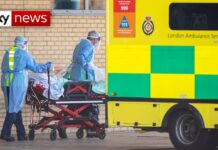 Reino Unido – MODELO DE CARTA DE PRESENTACION