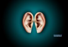 Apps que te pueden ayudar a detectar pérdidas de audición audición - Foto de Bastian Riccardi