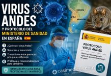 Qué es el virus Andes: síntomas, transmisión y por qué Sanidad ha publicado un nuevo protocolo en España Virus Andes y protocolo del Ministerio de Sanidad en España