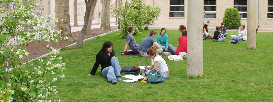 www.uclm.es