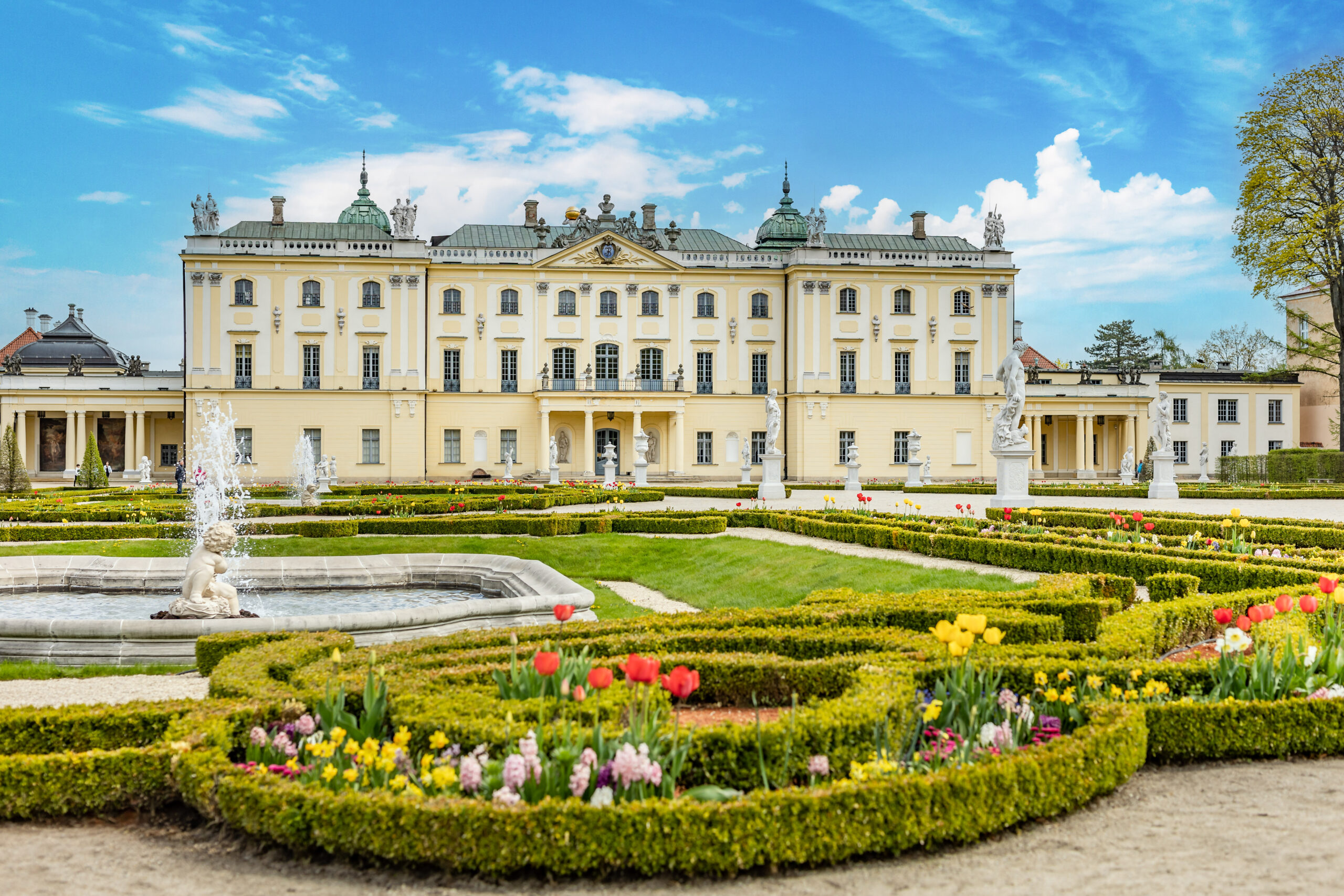 medicinaporeuropa.es