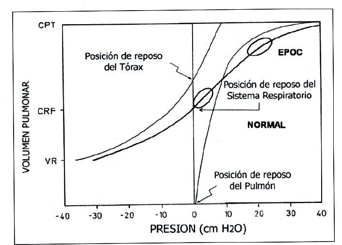 Image1-3.jpg